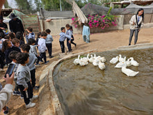 Load image into Gallery viewer, Green School trips - 100-200 students