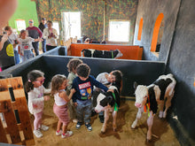 Load image into Gallery viewer, Green School trips - 100-200 students