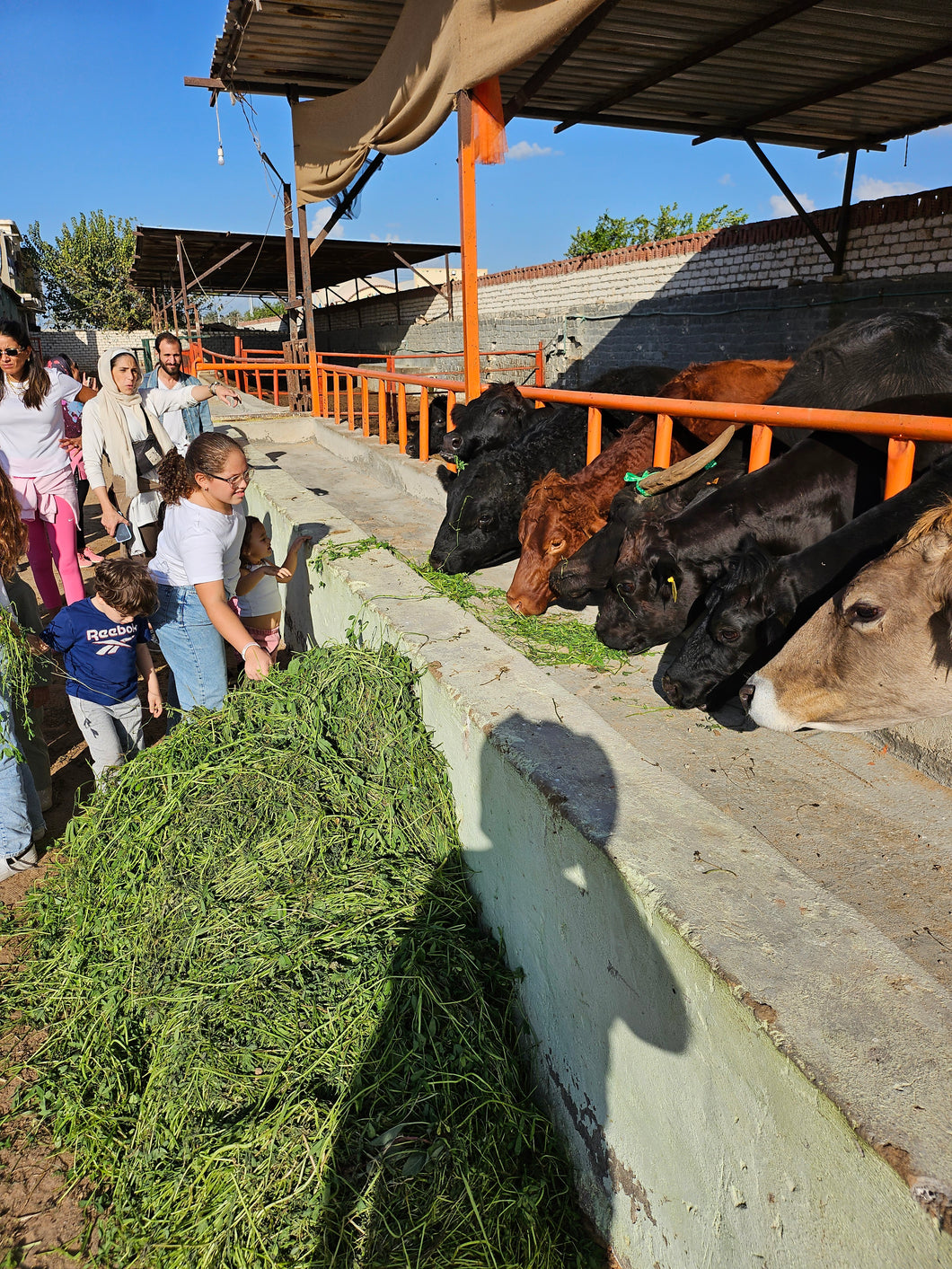 Black school trip - 250+ students