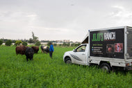 Livestock Delivery